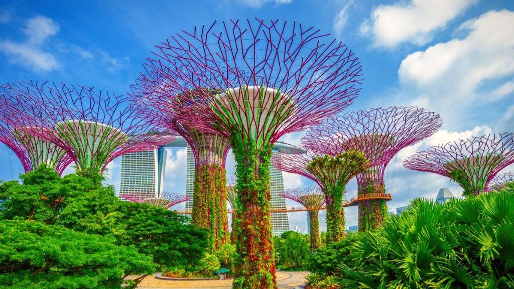 Tour Singapore - Malaysia 5N4Đ: Vườn thực vật Gardens By The Bay