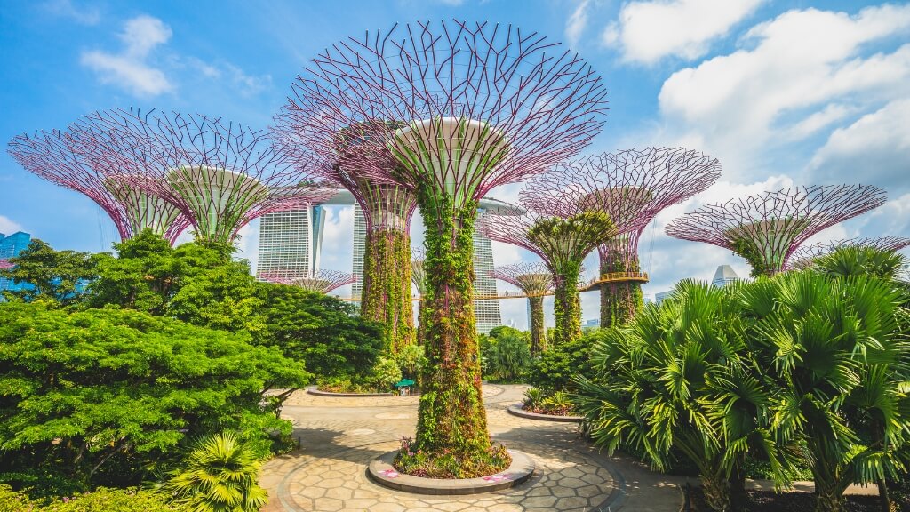 Garden By The Bay với các siêu cây khổng lồ