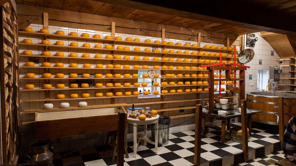 Nông trại chế biến phô mai De Catharina Hoeve Farm