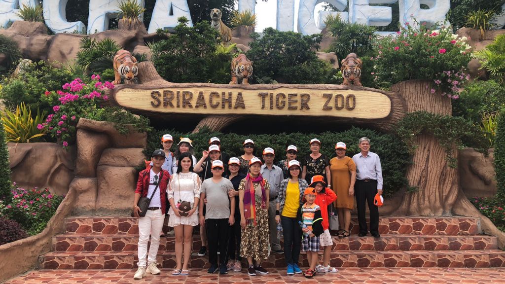 Check in vườn thú Tiger Zoo