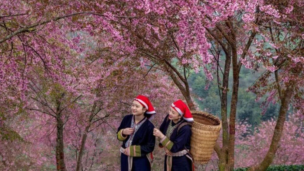 Khám phá bản Cát Cát mùa xuân