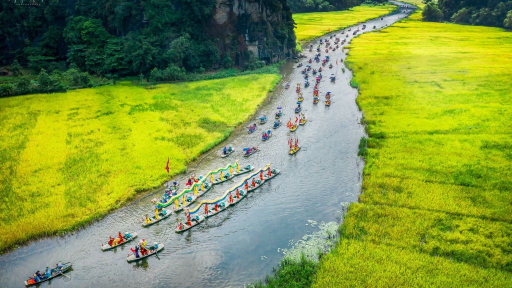 Tam Cốc mùa lúa chín