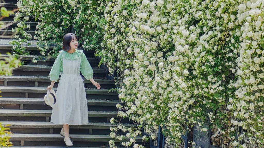 Công viên Trung Sơn với nhiều loại hoa rực rỡ