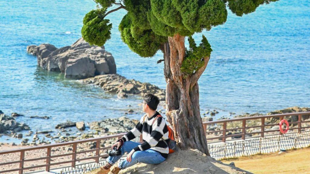 Vẻ đẹp xanh tươi của Công viên Tiểu Mai Đảo