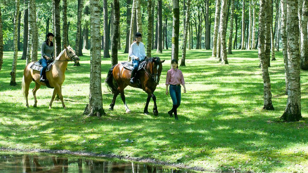 Du khách trải nghiệm cưỡi ngựa tại Northern Horse Park