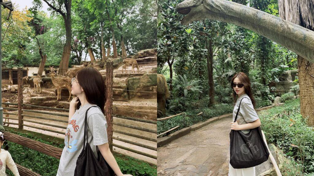 Sở thú Trùng Khánh – Nơi hội tụ muôn loài giữa xanh mát