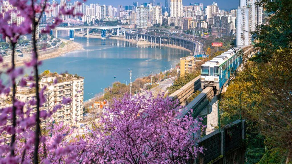 Mùa hoa anh đào tại Trùng Khánh