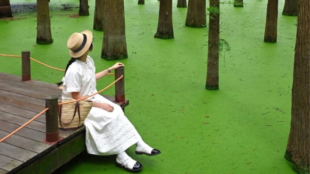 Du khách chụp hình check-in tại Đầm Lầy Thanh Sơn