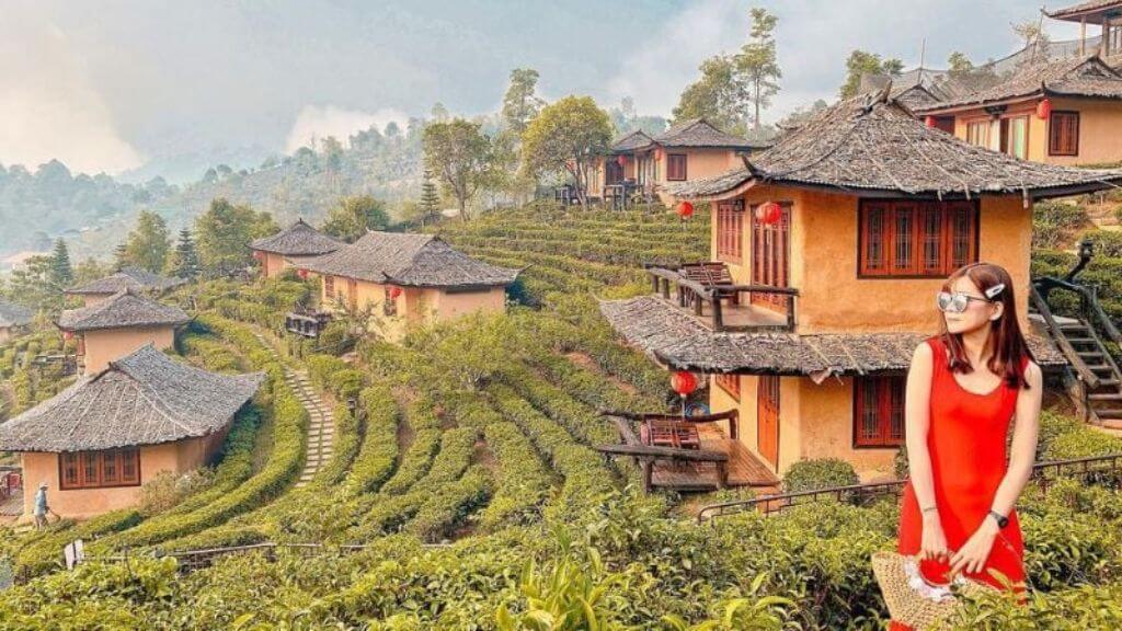 Địa điểm checkin xịn xò tại Vườn Trà Long Tỉnh