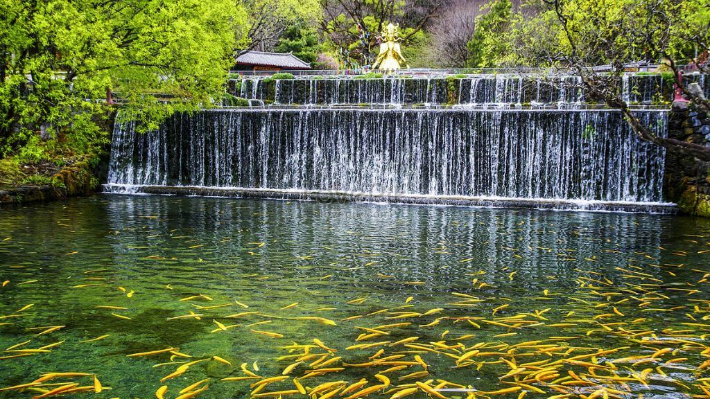 Khám phá Ngọc Thủy Trại với không gian xanh mát