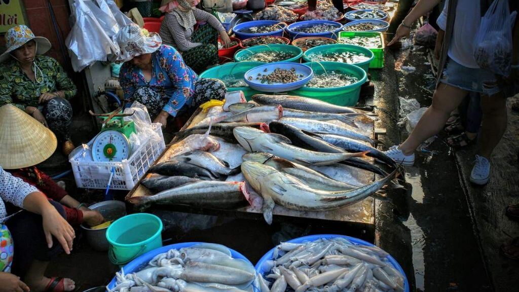 Thế giới hải sản tươi tại chợ Xóm Lưới