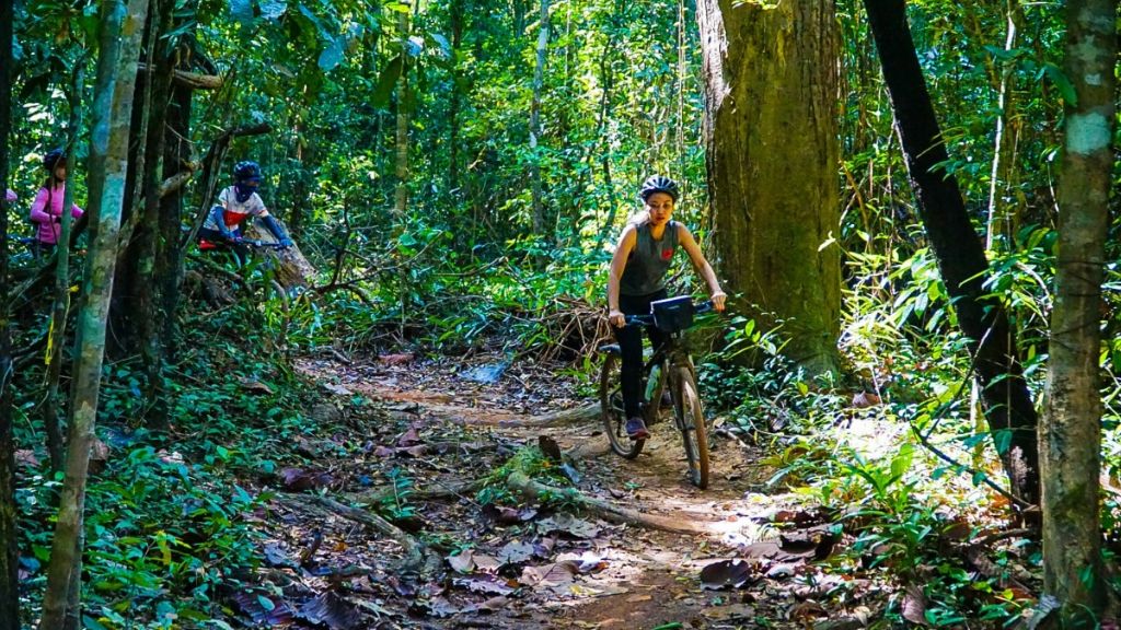 Đạp xe khám phá rừng nguyên sinh