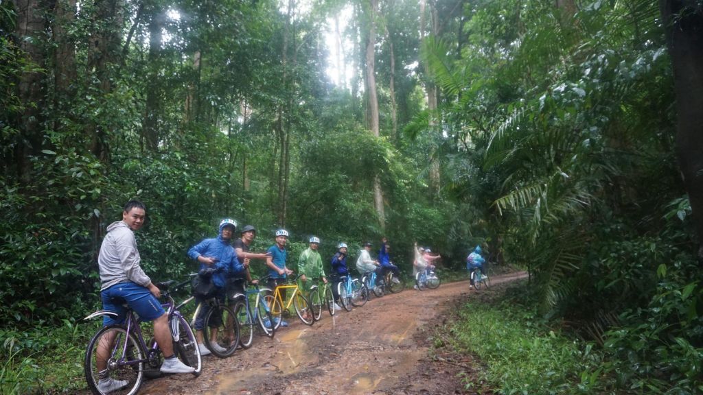Du khách thích thú đạp xe tham hiểm khu rừng