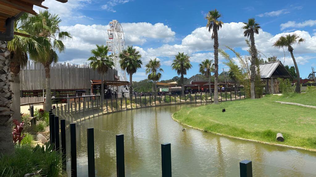 Sydney Zoo - Điểm tham quan hấp dẫn để gặp gỡ những loài động vật đặc trưng của Australia.