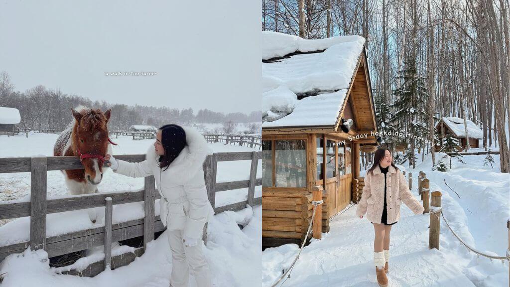 Trải nghiệm mùa đông tuyệt vời tại Hokkaido (hazelquing)
