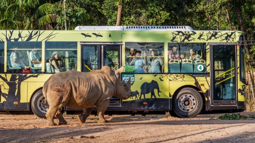 Tham quan vườn thú Vinpearl Safari