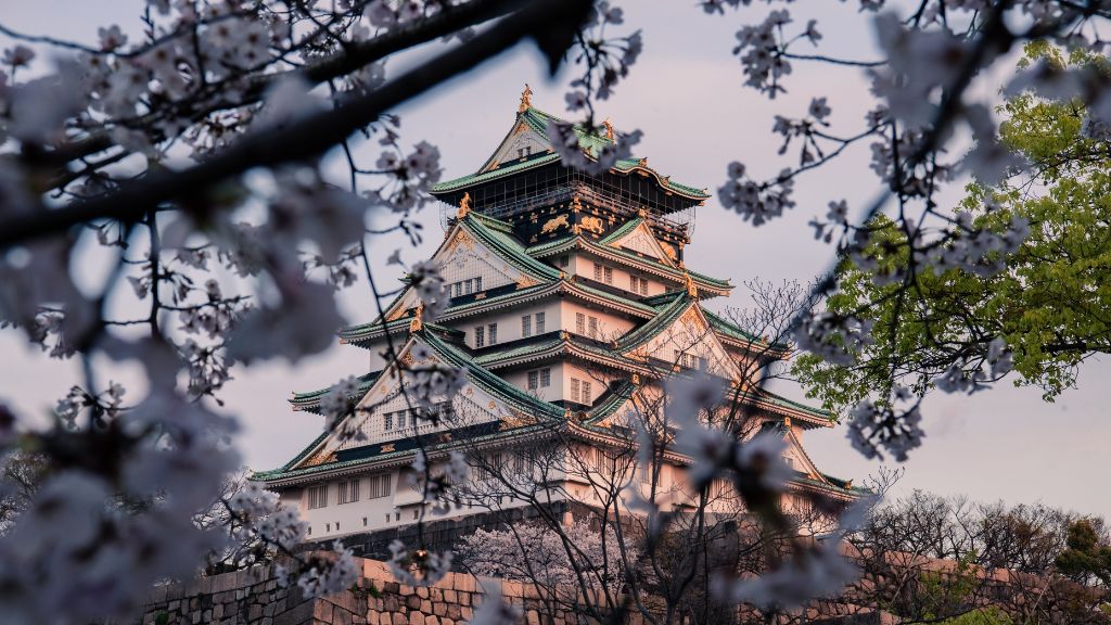 Lâu đài Osaka cổ kính